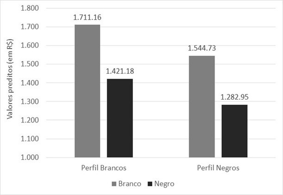 Barras 'perfis brancos e negros' representam origem social, e os blocos, os indivíduos de cada raça de acordo com os ganhos estimados — Foto: Reprodução/PUCRS